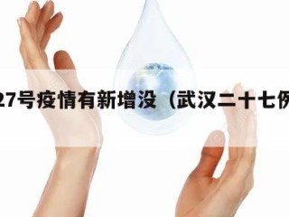 武汉27号疫情有新增没（武汉二十七例肺炎）