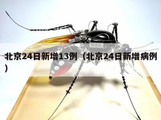 北京24日新增13例（北京24日新增病例）