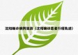 沈阳确诊病例旅游（沈阳确诊患者行程轨迹）