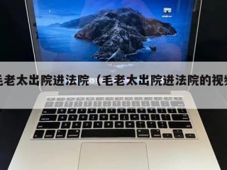 毛老太出院进法院（毛老太出院进法院的视频）